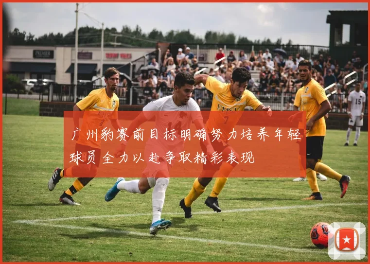 广州豹赛前目标明确努力培养年轻球员全力以赴争取精彩表现