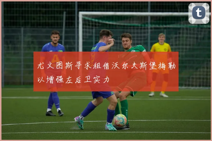 尤文图斯寻求租借沃尔夫斯堡梅勒以增强左后卫实力