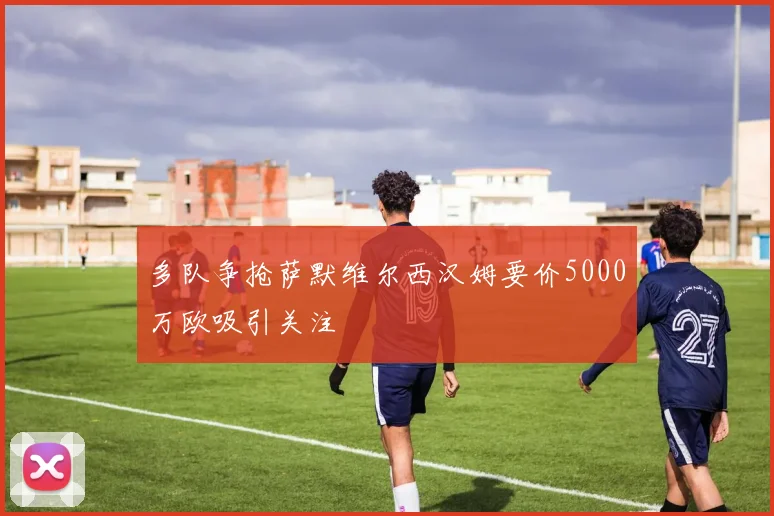 多队争抢萨默维尔西汉姆要价5000万欧吸引关注