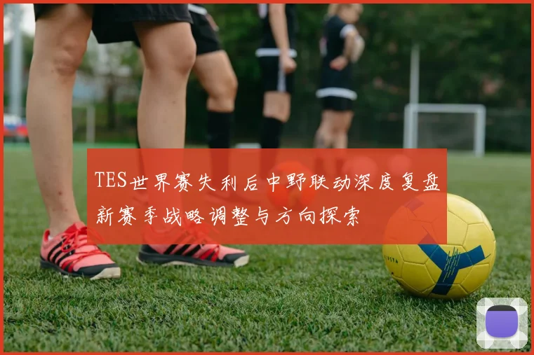 TES世界赛失利后中野联动深度复盘新赛季战略调整与方向探索